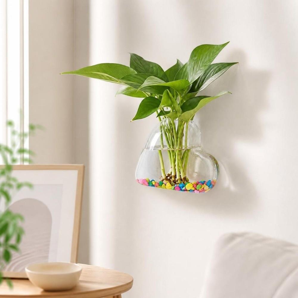 Portapiante Idroponici in Vetro Trasparente Forma Irregolare Fioriera Decorazione per la Casa