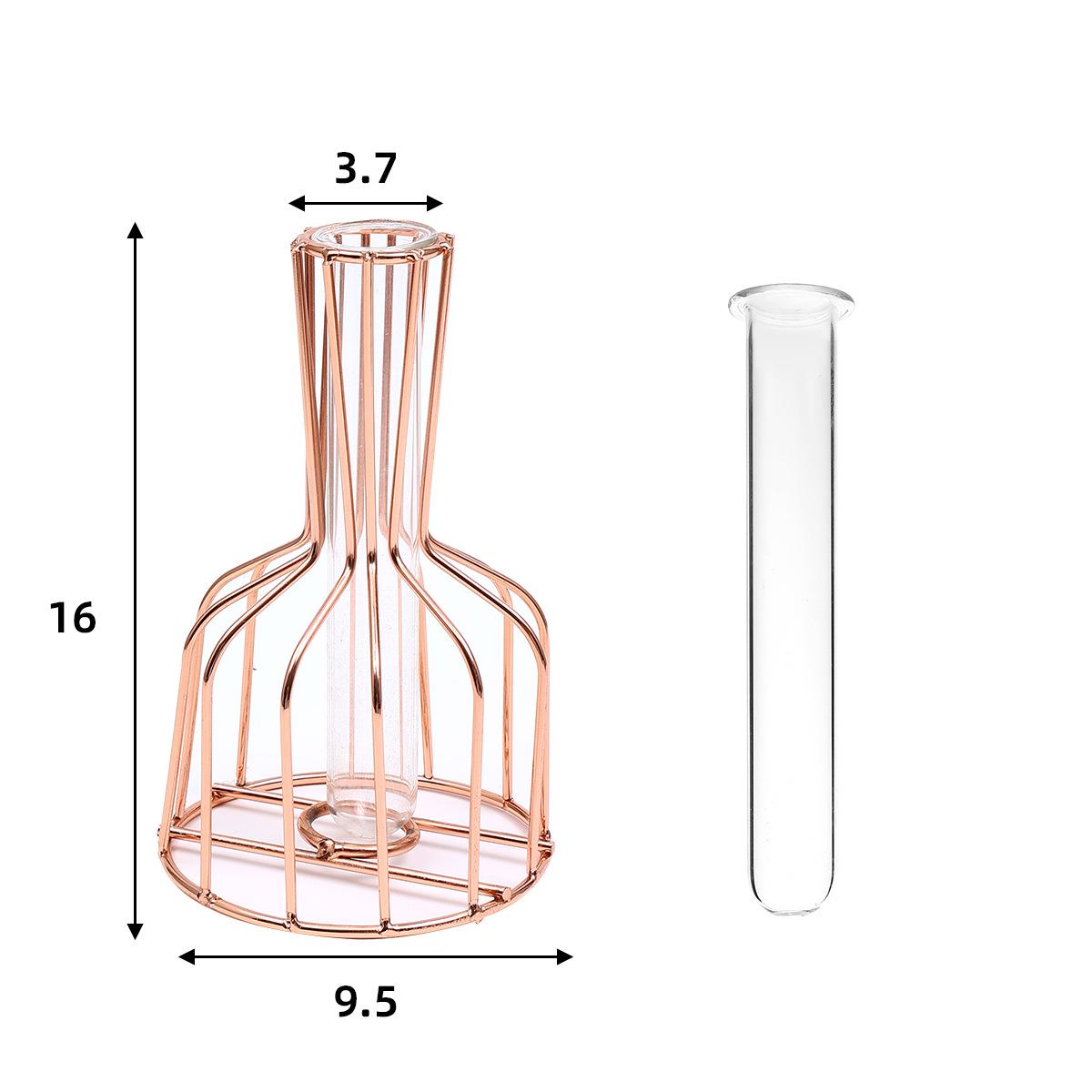 

Кованое железо Гидропонный Пробирка Стеклянная Ваза для Сухоцветов - Элегантное Украшение Стола в Гостиной Carton Packaging