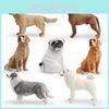 Realistic Pvc Golden Retriever And Border Collie Figurines Collection For Childrens Educational Toys And Display