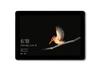Microsoft Surface Go with LTE Office Home and Business Windows 10 Home 128GB 8GB Silver Advanced, 2019, (S Mode), 10-inch Display, Pentium® Gold, SSD,