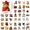 50 Realistic Cute Cat Head Emoticon Pack Stickers Internet Celebrity Cat Waterproof Graffiti Cartoon Stickers Pack