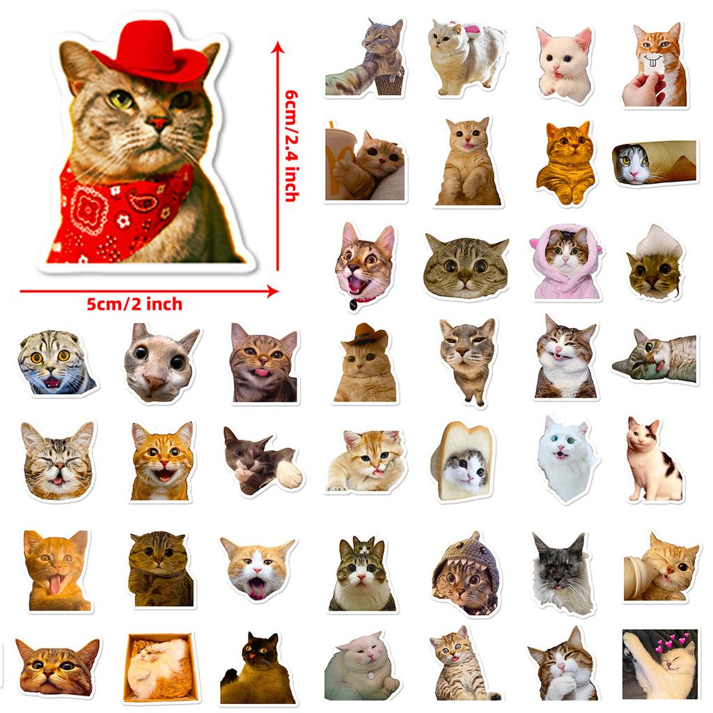 50 Realistic Cute Cat Head Emoticon Pack Stickers Internet Celebrity Cat Waterproof Graffiti Cartoon Stickers Pack