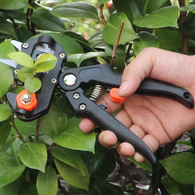 Fruit Tree Seedling Grafting Tool Kit: Includes Shears, Knife, and Scissors Blade for Gardening