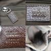 Used GUCCI Shoulder Bag 189751 Schlie Line GG Canvas Beige Casual
