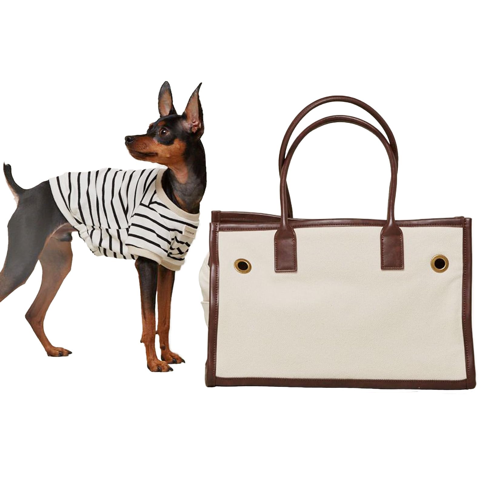 

Piping Tote Carrier S Dog Carrier Case Carrier Bag Carrier Tote Canvas Cool Stylish Brown [citydog]