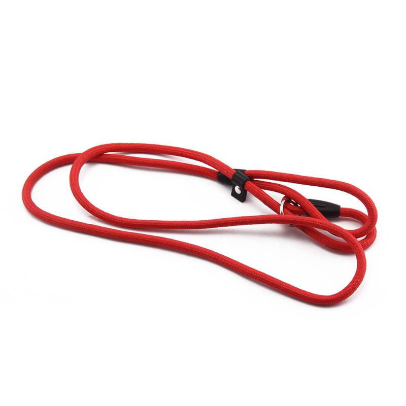Nylon Dog Leash Dog Traction Belt Pet Harness Straps Pet Supplies