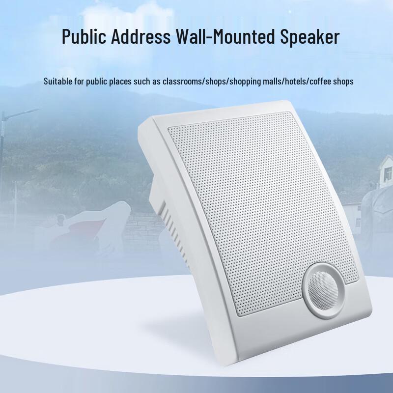 Husite IPG-H0 Professional IP Network Wall Speaker (CN Version)