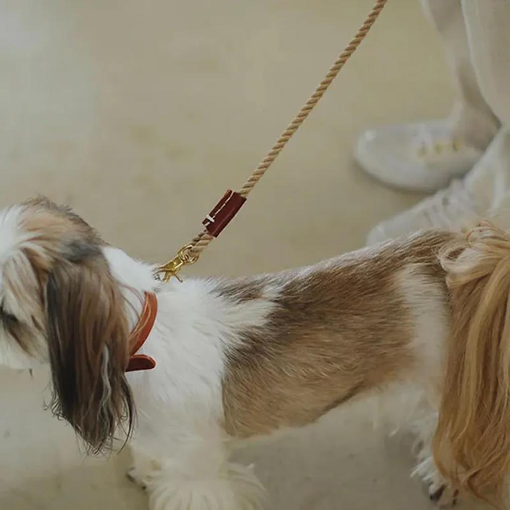 We Original All Leather Collar Brown GOOD MANNERS DOG SERIES - (L) /