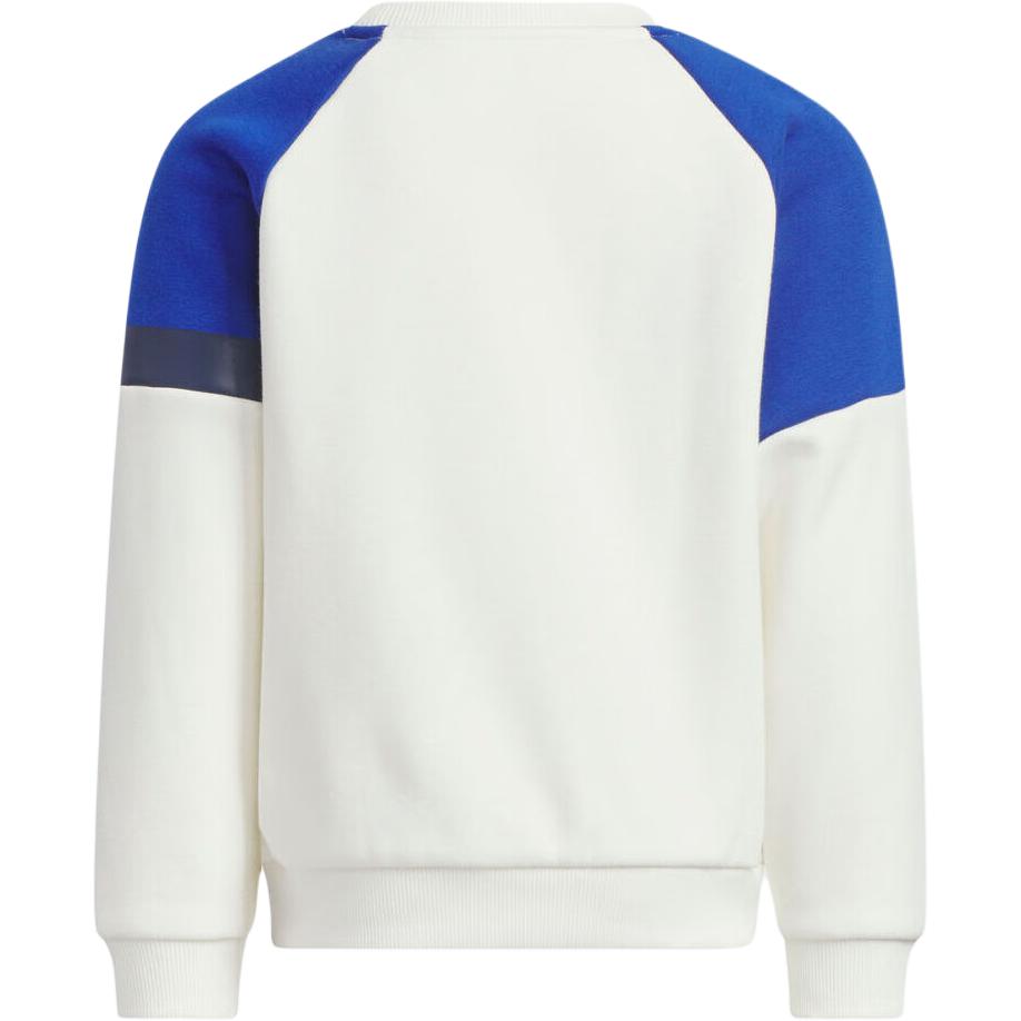adidas Warm Crew Comfortable Soft Skin-Friendly Round Neck Pullover Kids Tops KB5128