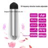 Mini Rechargeable Bullet Vibrator for Women - Adult Sex Toy