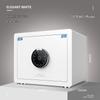 TIGER Dazzle Series Automatic Fingerprint Home Office Safe