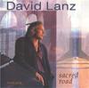CD DAVID LANZ  Sacred Road ND64010 Narada Artist S 1996 US Dance  Electronica Used