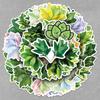 50 Pomelo Leaf Stickers: Waterproof Green Plant Designs for Car, Fridge, Thermos, and Journal Decoration