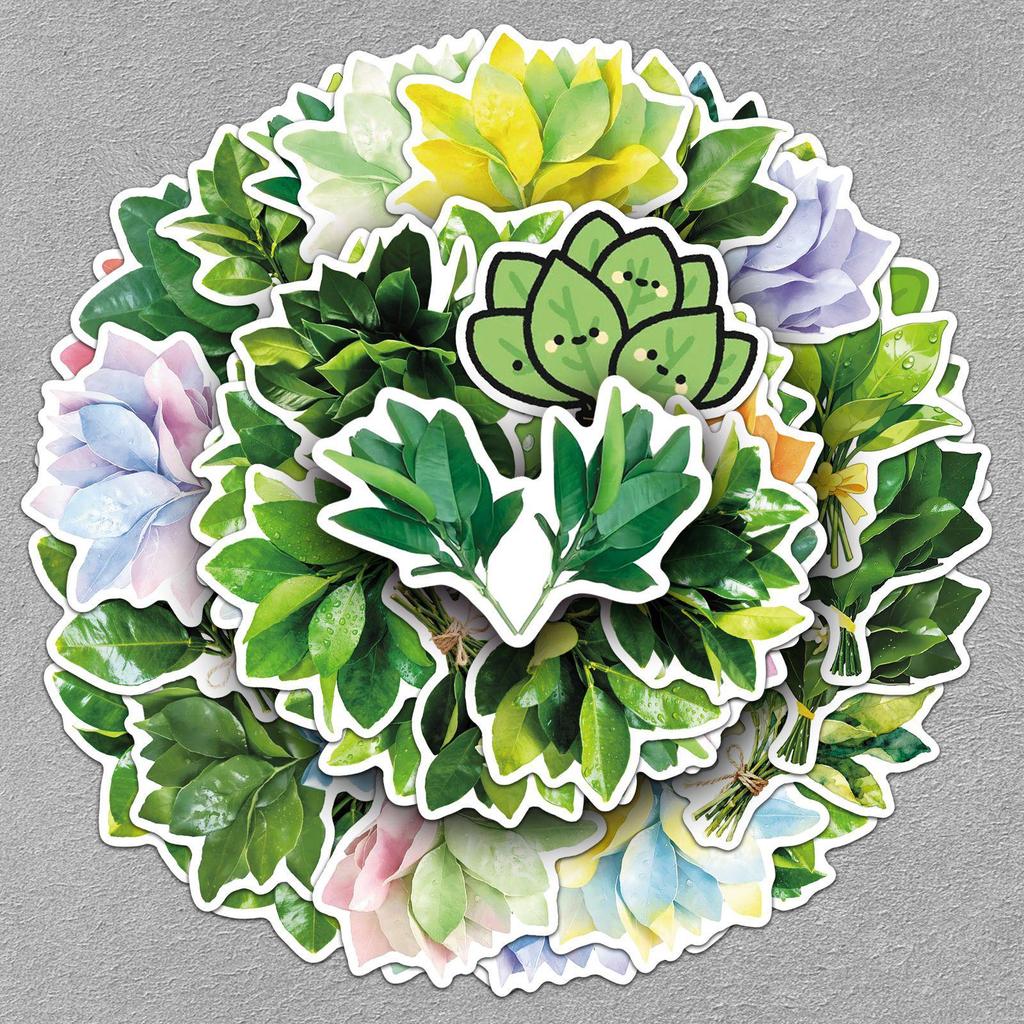 50 Pomelo Leaf Stickers: Waterproof Green Plant Designs for Car, Fridge, Thermos, and Journal Decoration
