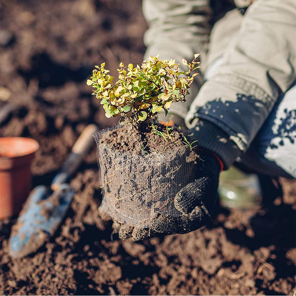 4pcs Stainless Steel Root Guard Baskets for Garden Plant Root Protection 18x16in