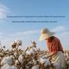 LUOLAI 100% Xinjiang Cotton All-Season Duvet