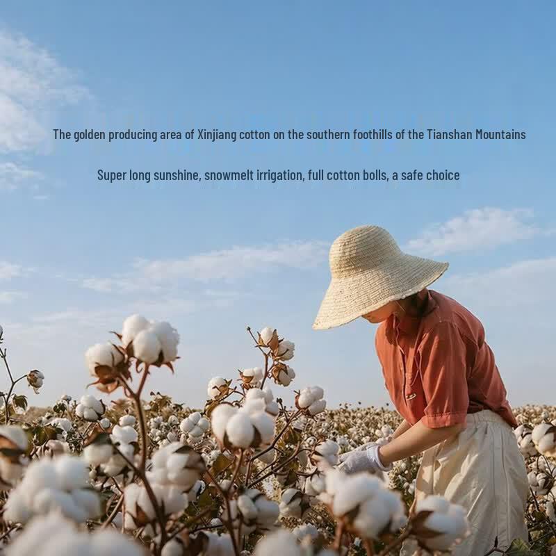 LUOLAI 100% Xinjiang Cotton All-Season Duvet