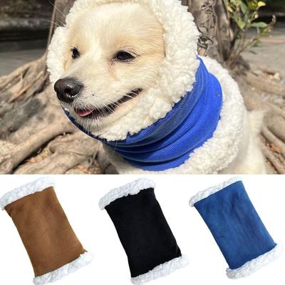 Bekleidung & Schuhe – Hundezubehör