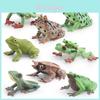 Realistic Plastic Frog Model Set Featuring Triangular Leaf Frog Red Eyed Tree Frog