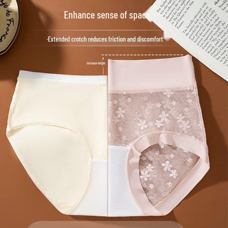 Yalu Women's Lace Mesh Breathable Antibacterial Briefs (3-Pack)