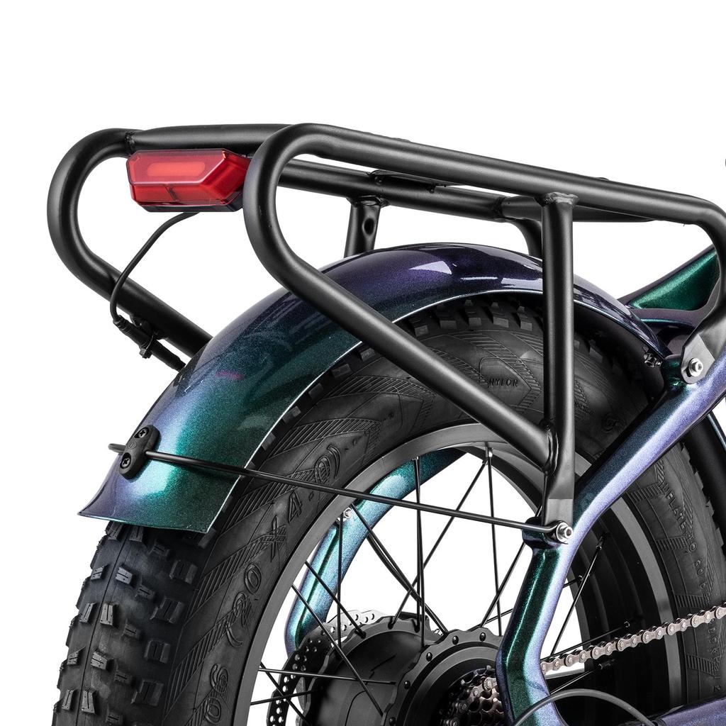 FAFREES F20 Master Electric Bicycle 20" 500W Motor Electric Bike Adult Top Speed 45Km/h 48V 22.5AH Range 160Km Load 150Kg