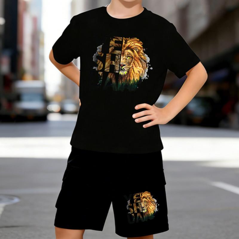 

Boys 2 Piece Majestic Lion Print Outfit, Short Sleeve T-Shirt and Shorts Set for Kids Age 5-14, Black and White Sporty Casual Summer Clothes 5-6 Years чёрный
