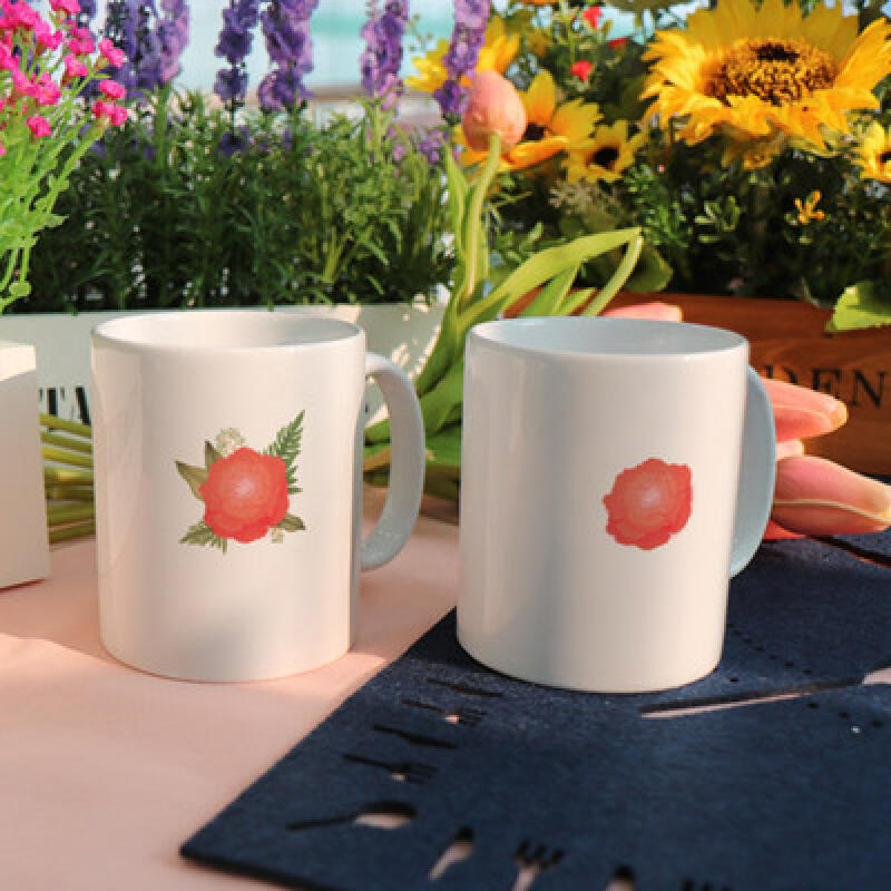 tb984-Design Mug 2p-Carnation