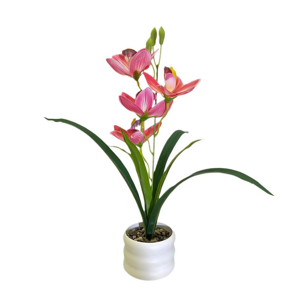 Simulation Cymbidium Faberi Rolfe Riverstones Bonsai For Photography Prop Use