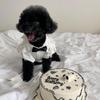 Teddy Pomeranian Prinsessstil Dungaree Klänning Set för Små Valpar (Små till medelstora raser)