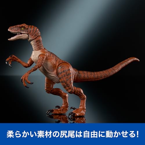 Mattel JURASSIC WORLD Hammond Collection Velociraptor Tiger Children's Figure Dinosaur Toy Moving Large Total Length: Approx. 19.8cm Ages 8 and Up