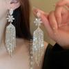 European and American Silver Needle Zircon Fringed Earrings Light Luxury High-end Atmospheric Earrings Niche Earrings Women