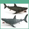 Premium Plastic Giant Tooth Shark Replica For Collectible Marine Biology Display And Study