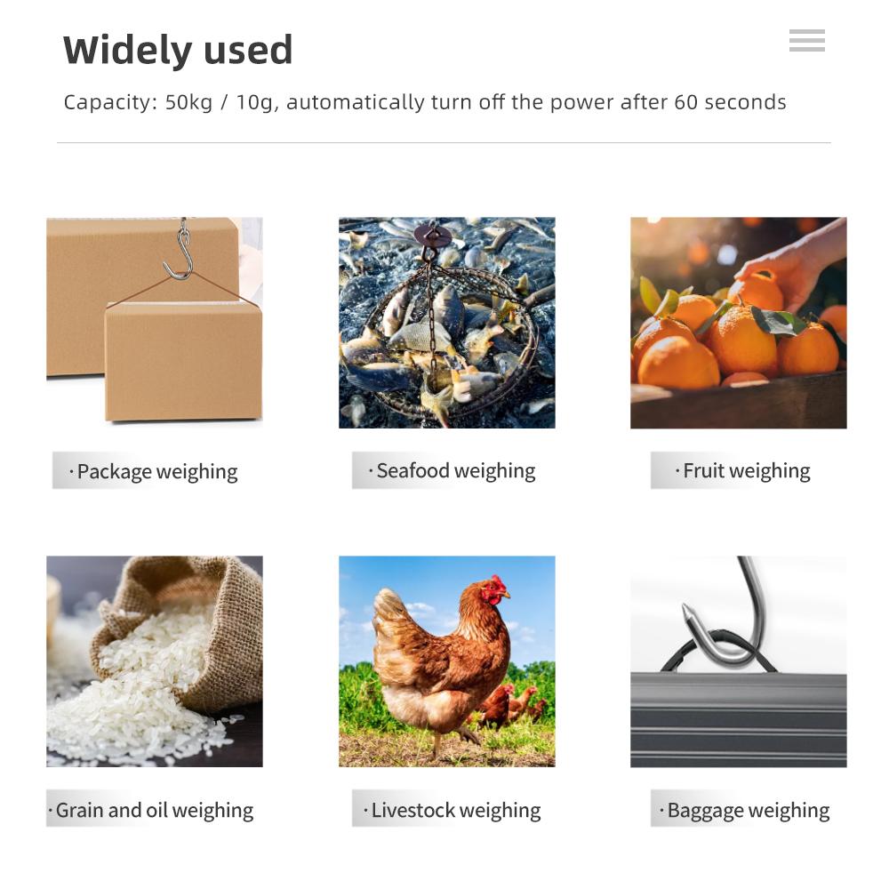 50kg/10g Digitale Hängewaage Tragbare Gepäckwaage Elektronische LCD-Anzeige Fischwaage mit Komfortablem Griff Haken