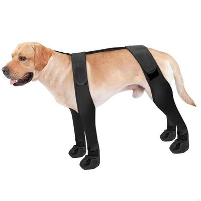 Giyim ve ayakkabı – Köpek ayakkabıları