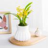 Self-watering Flowerpot with Self-absorbing Cotton Rope Creative Plastic Plant Pot Indoor