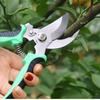 Garden Pruning Shears: Flower, Fruit Tree, and Bamboo Trimming