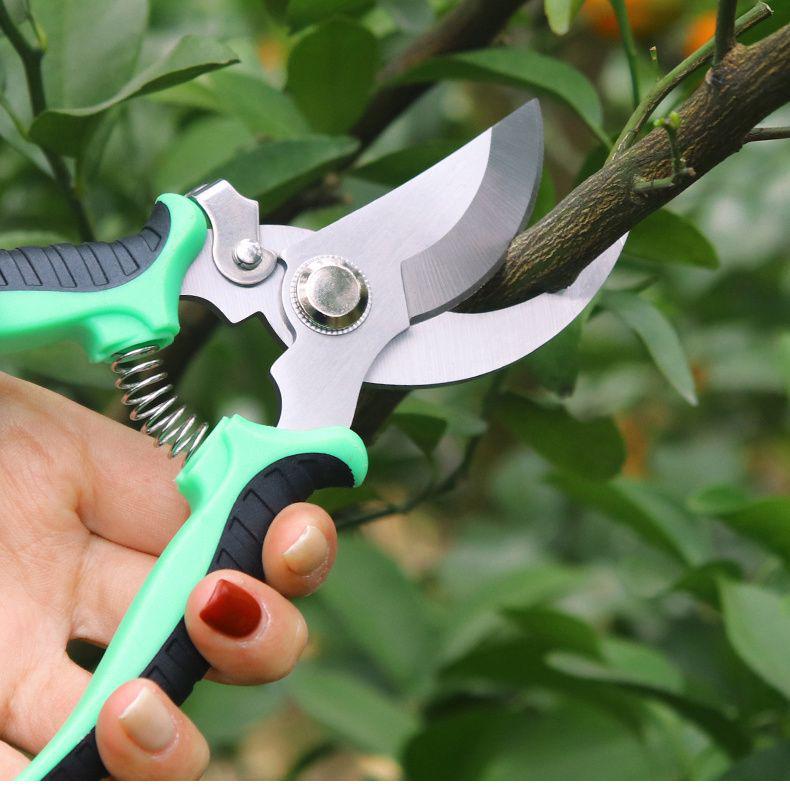Garden Pruning Shears: Flower, Fruit Tree, and Bamboo Trimming