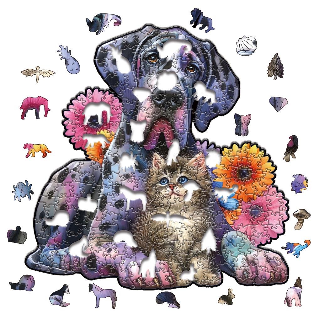 Brain Teaser 3D Wooden Puzzle Ideal for Adult Children Rainbow Fantasy Infant Dragons Animal Irregular Christmas Present Boxs Playthings
