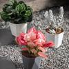 Self-Watering Plastic Flower Pot