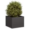 Black Pot 40X40X30 Cm Steel