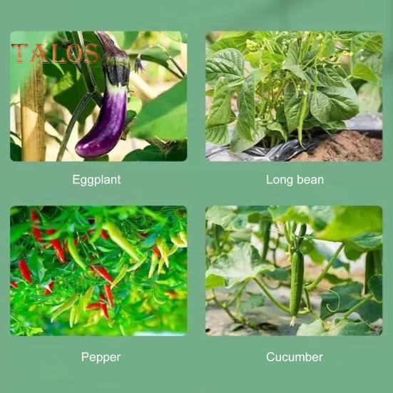 100/200/300 Stück Pflanzenklammern, Kunststoff-Pflanzenstützklammern, wiederverwendbare Tomaten-Spalierklammern für Kletterpflanzen, Weinreben, Gurken, für den Innen- und Außenbereich