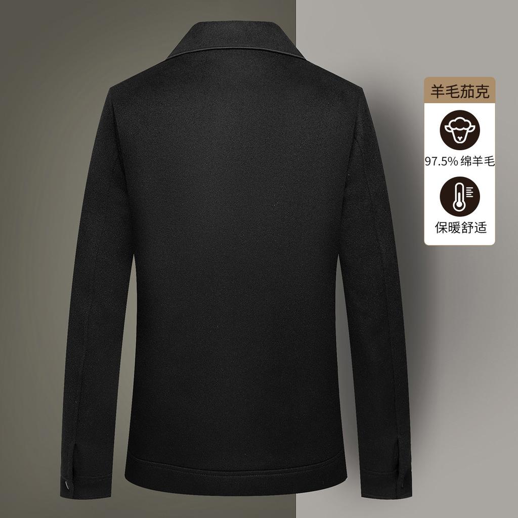 Welfare Edition [97% Sheep Wool] Autumn Thick Wool Jacket Men's Business Casual Collar Jacket Coat