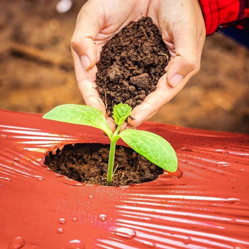 7.5x1.2m Red Mulch Garden Plastic Film Red Plastic Mulch Film Red Grow Film for Strawberries Tomatoes Peppers