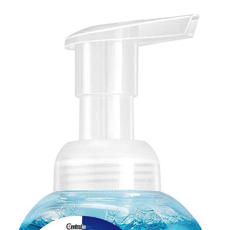 Walch Healthy Care Foaming Hand Soap (2-Pack)