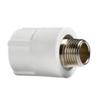 PPR External Thread Straight Connector