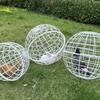 Cage à Balle Roulante pour Poulet Cage de Sécurité pour Animaux de Compagnie Cage à Balle Orbale Sphérique pour Poulet Cage à Balle Forme Boule pour Poulet Hamster Sûr