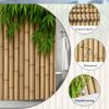 Bamboo Forest Shower Curtain Machine Washable All Season Waterproof Privacy Protection Natural Design Zen Elevate Your Space