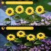 3/1Head LED Solar Simulation Sunflower Lights Garden Yard Lawn Night Lights Landscape Lamp Home Decoration Flower Light