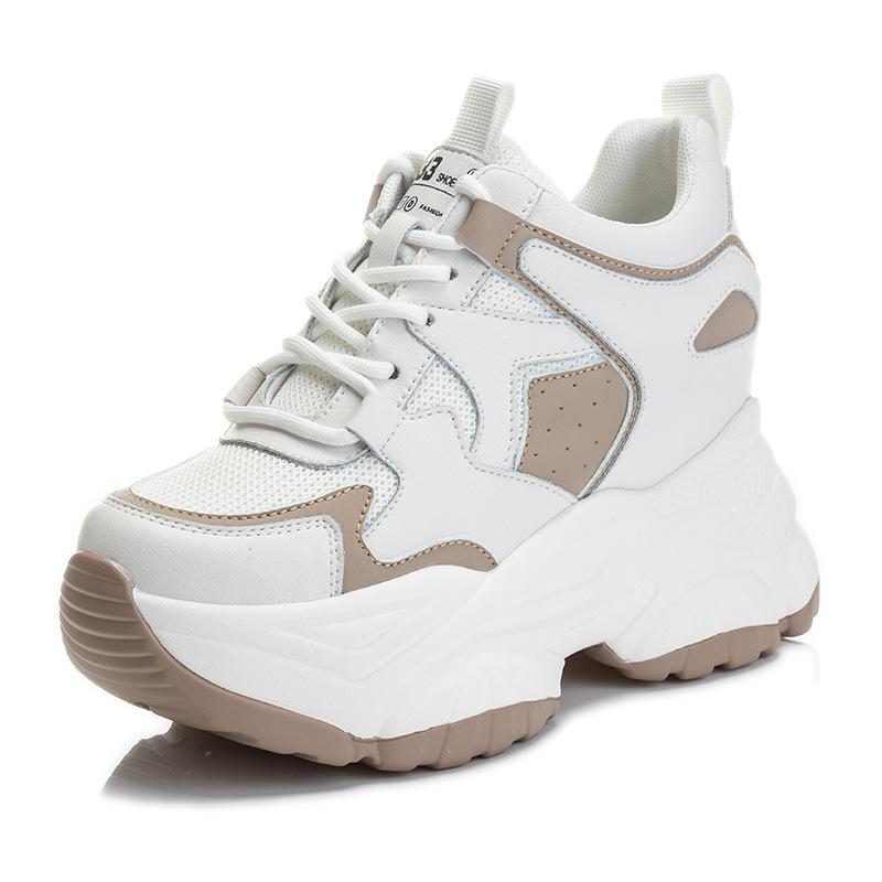 Inner heightening dad shoes CM spring new breathable thick-soled mesh small sports and leisure shoes tide