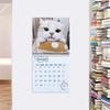 Unreasonable Cat Calendar 2026 Jan.2026 - Dec.2026 12-Month Calendar Funny Kitten Wall Planner for Home Office Decoration